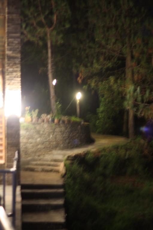 Kasar Rainbow Yoga Retreat Villa Almora Bagian luar foto